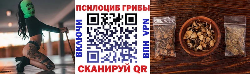 Псилоцибиновые грибы прущие грибы  цены наркотик  Оха 